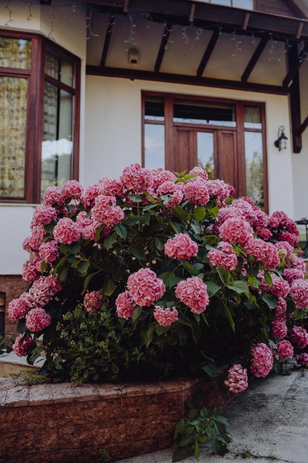 Vila Missy Deva Exterior foto